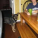 Ray Riley Photo 45