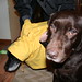 Henry Carter Photo 43