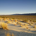 Joshua Sand Photo 18