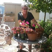 Vincent Ward Photo 14