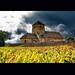 Autumn Roman Photo 10