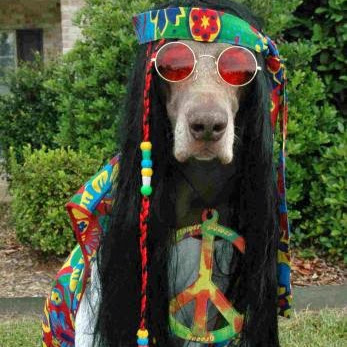 Linda Wallace Photo 9