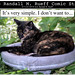 Denise Randall Photo 18