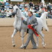 Jeff Schall Photo 20