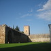 Santa Torres Photo 12