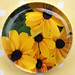 Susan Glass Photo 16