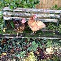 Sally Darby Photo 21