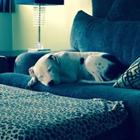 Tracy Wilbert Photo 5