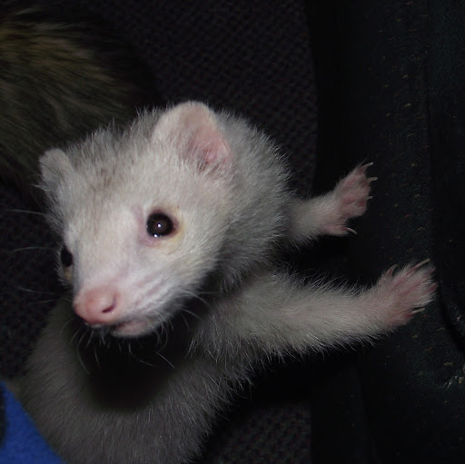 Becky Moffitt Photo 6
