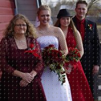 Marcia Lyons Photo 20