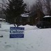 Michael Culver Photo 21
