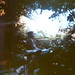 Ruth Wise Photo 14