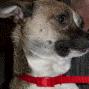 Tracey West Photo 20