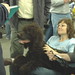 Susan Andrade Photo 20