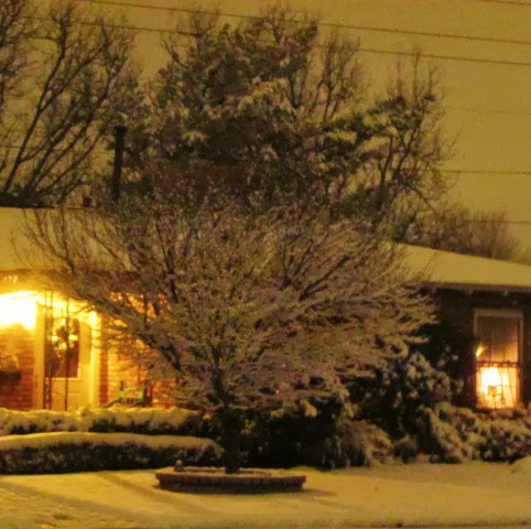 Mary Moeller Photo 16