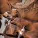 Chris Robisch Photo 7