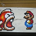 Mario Craft Photo 1