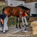 James Jimenez Photo 41