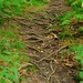 Bradley Root Photo 10