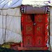 Susan Hardman Photo 23