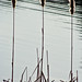 Erik Reed Photo 19