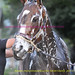 Amy Blasi Photo 9