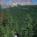 David Forest Photo 18