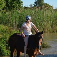 Anne Hummel Photo 22