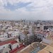Cesar Ponce Photo 36