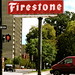 Ann Firestone Photo 11