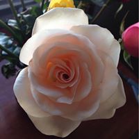 Sharon Strong Photo 27