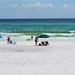 Allen Beach Photo 16