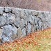 Haley Wall Photo 21