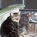 Eleanor Morgan Photo 14