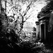 William Deverell Photo 16
