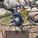 Jay Wester Photo 12