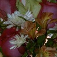 Dorothy Fulton Photo 26