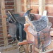 Scott Tack Photo 11
