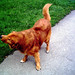 Max Roe Photo 3