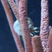 Michael Motes Photo 24