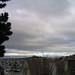 Jennie Goins Photo 6