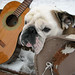 Farrel Allen Photo 4