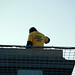 Anthony Payne Photo 29