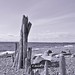 Robert Pilon Photo 27