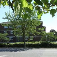 Alan Place Photo 8