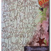 Nancy Sheets Photo 10