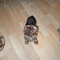 Janice Blankenship Photo 21