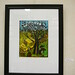 Dan Herr Photo 21
