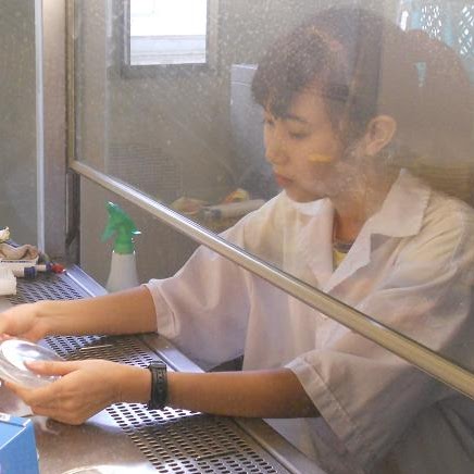 Hai Vu Photo 23