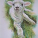 Catherine Lamb Photo 10